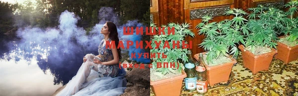 крисы Абинск
