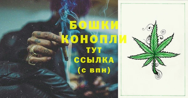 PSILOCYBIN Абаза