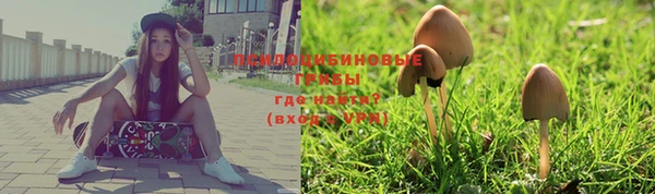 крисы Абинск