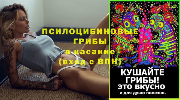 PSILOCYBIN Абаза